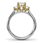 S4339-14kt-White-Yellow