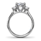 S4341-Platinum