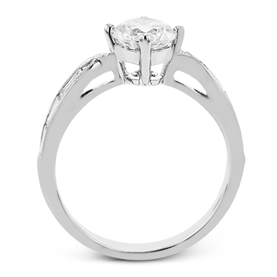 Main Selected Image