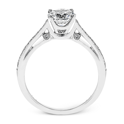 Main Selected Image