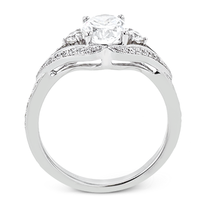 Main Selected Image