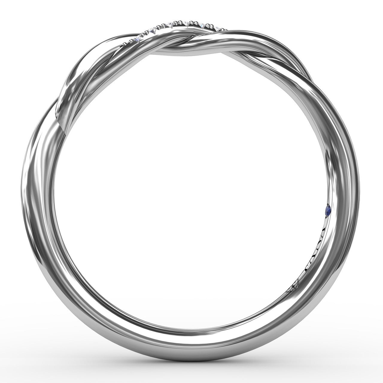 W4005-Platinum
