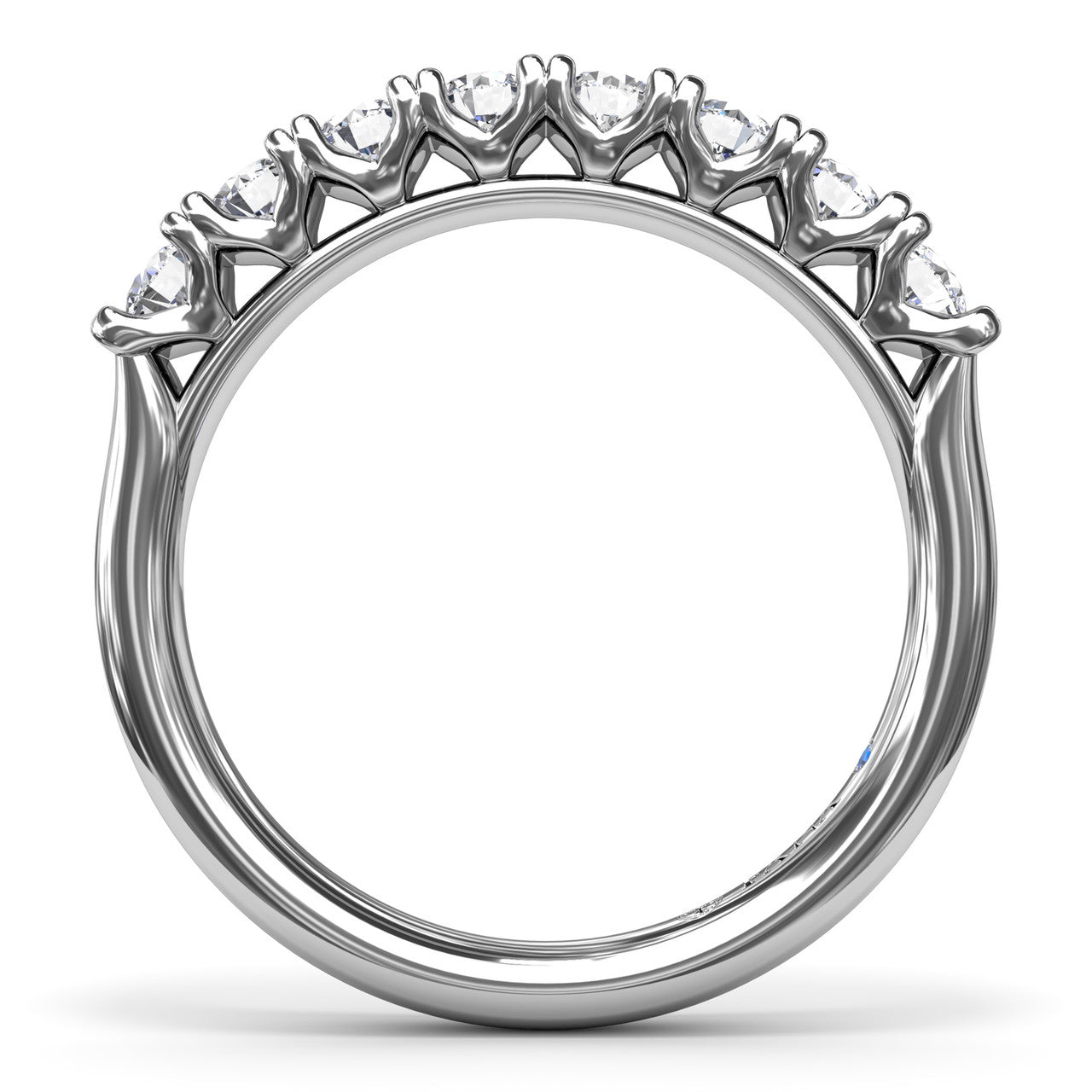 Main Selected Image