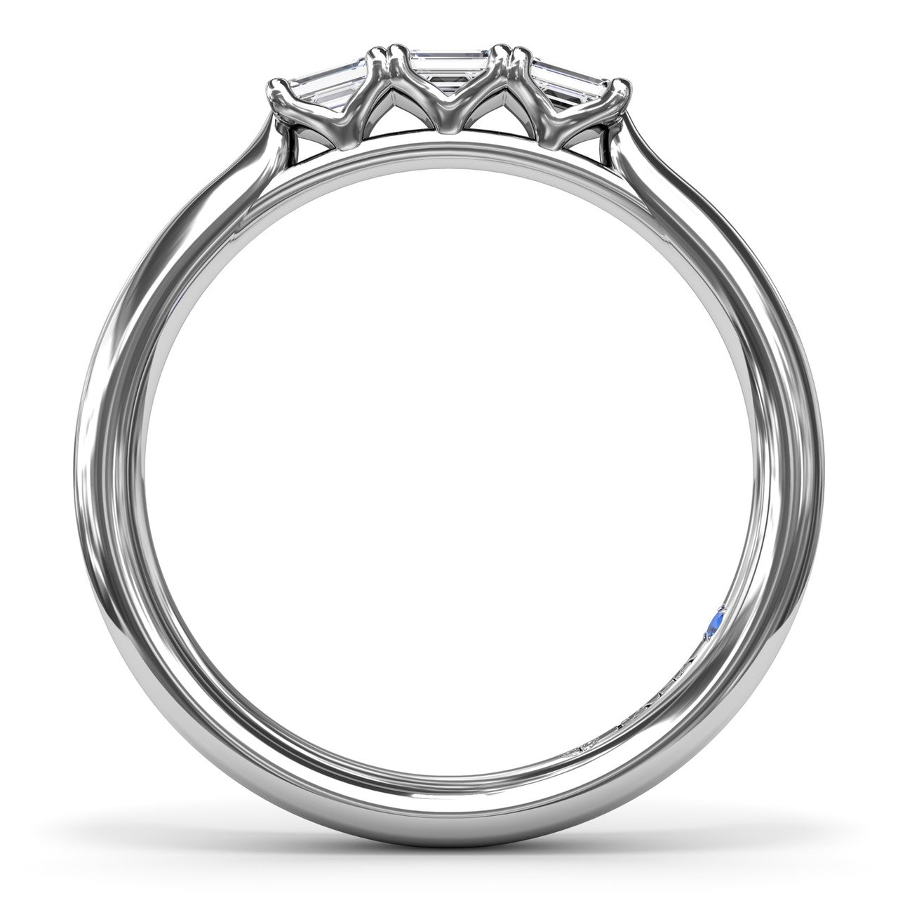 Main Selected Image