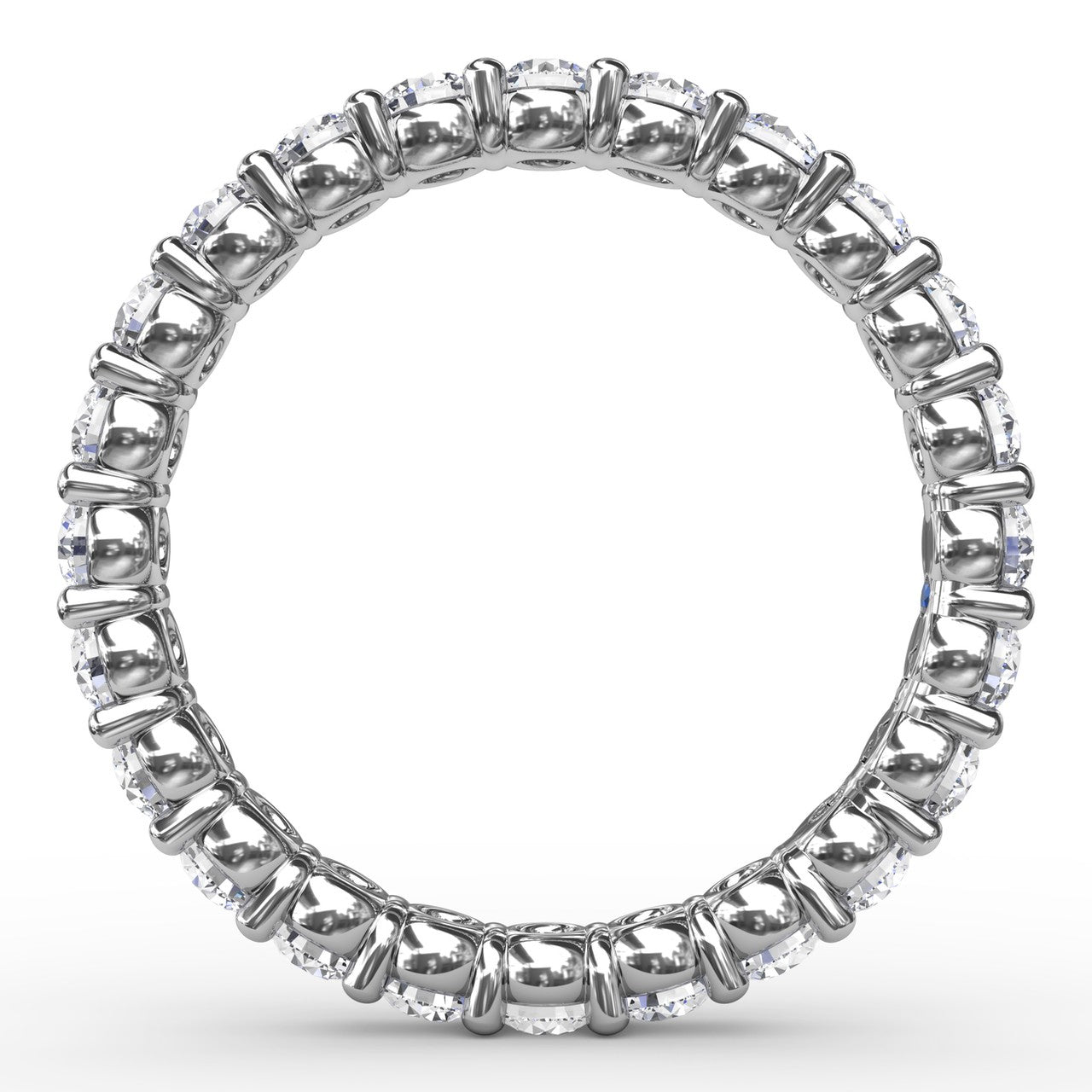 W6113-Platinum
