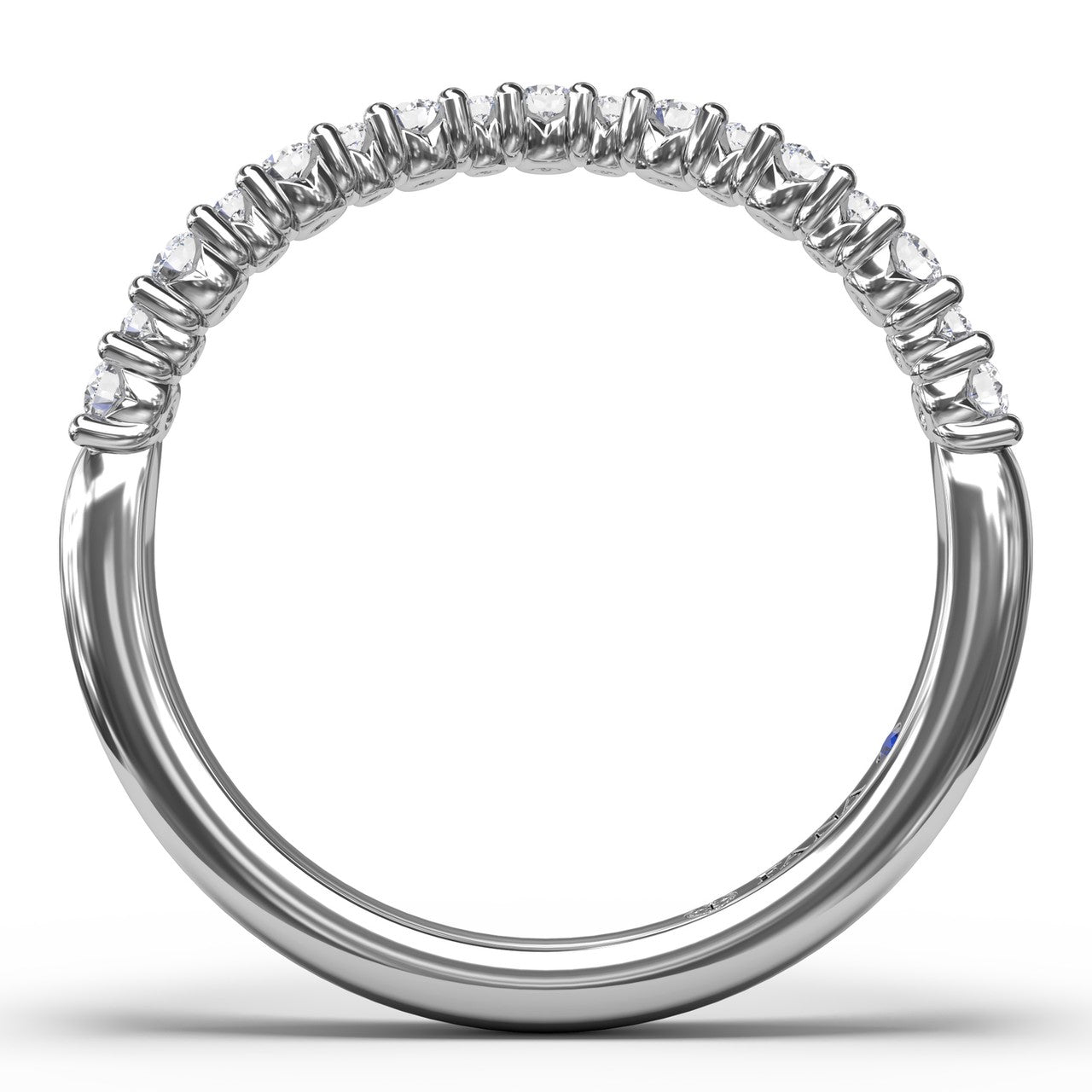 Main Selected Image