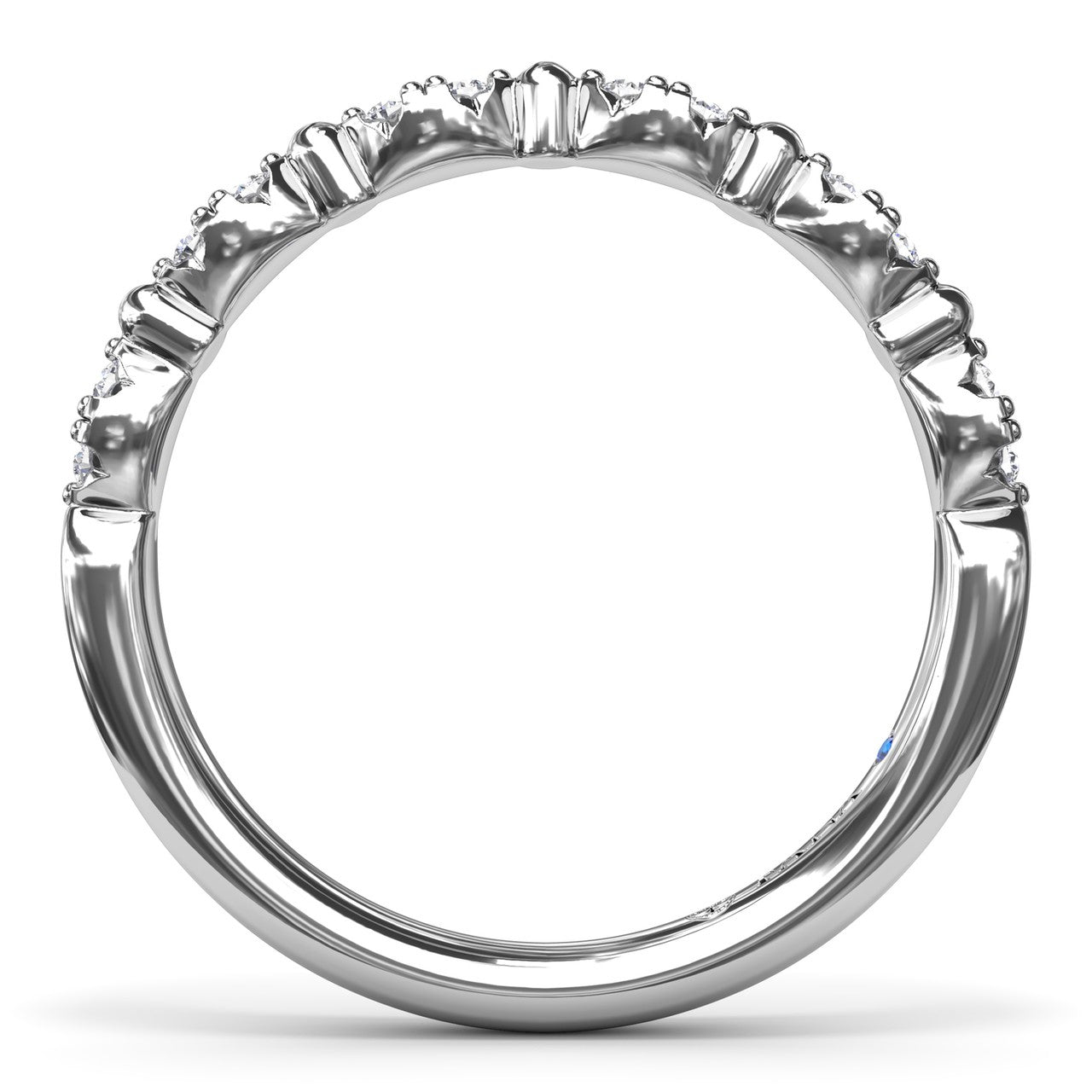Main Selected Image
